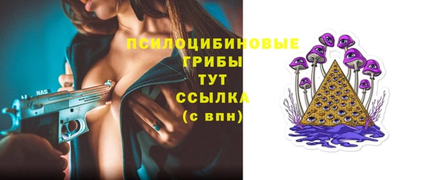 амф Надым